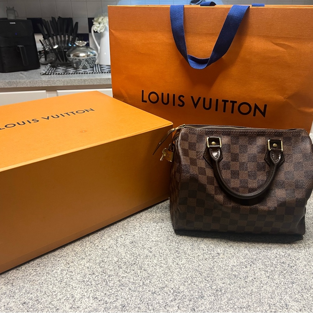 Louis Vuitton speedy 25 Damier